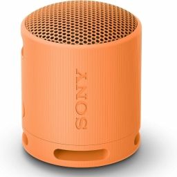 SONY SRSXB100D.CE7